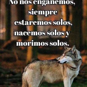 Meet your Posher, Alexandre